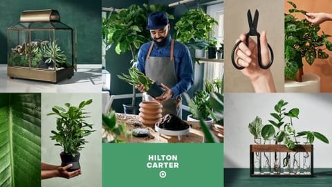 Target Collaborates With Plant Stylist for 1st Time