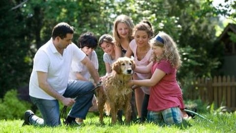 Changes in Pet Parenthood Lead to More Sales Opportunities – and Competition