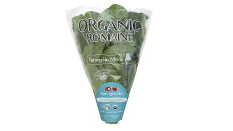 Hannaford Chooses Local Aquaponic Farm to Ensure Fresher Lettuce
