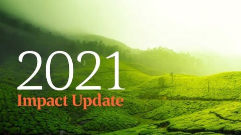 Whole Foods Market Debuts 1st Social Impact Update