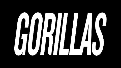 gorillas logo teaser