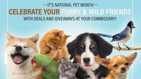 Pet Month