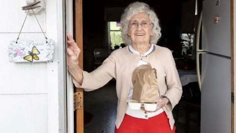 Food Lion Meals On Wheels