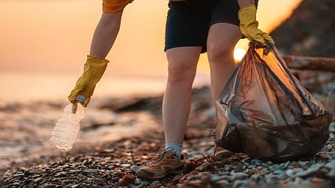 Beach cleanup teaser