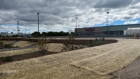 Meijer rain garden_teaser