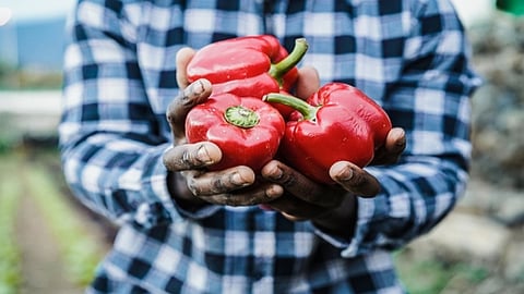 Farmer