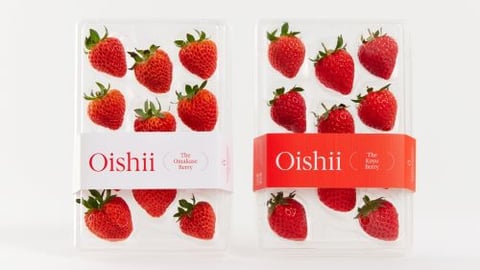 koyo berry teaser
