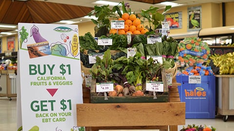 Harvest Market SPUR Teaser
