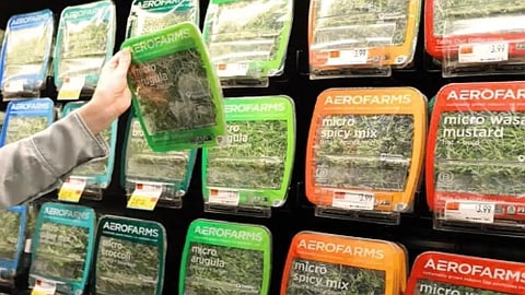 AeroFarms microgreens