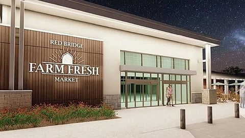 Red Bridget Farm Fresh