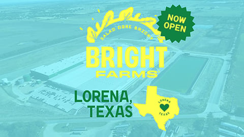 BrightFarms Texas Teaser