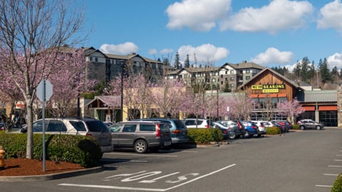New Seasons Market Portland OR Parking Lot Teaser