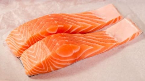 fresh salmon