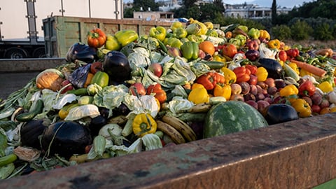 Food Waste Teaser