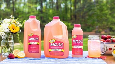 Milo's Strawberry Lemonade Teaser