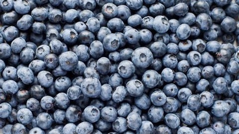 blueberry recall