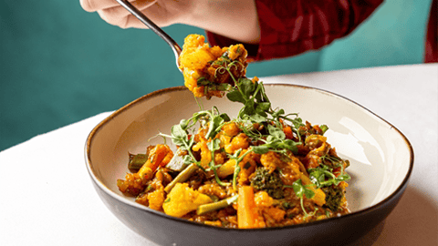 Indian Cuisine Teaser