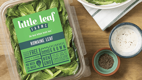 Little Leaf Farms Romaine Leaf Lettuce Teaser