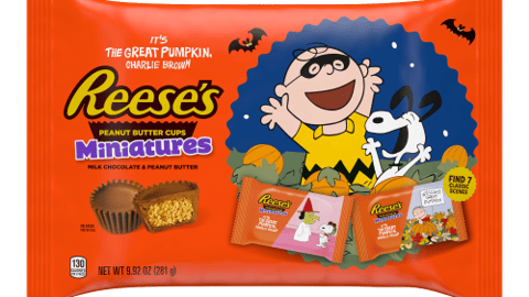 Snoopy Reese's