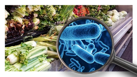 PG_KaivacWebinar_FoodSafety_UnmaskingHiddenThreats_October_31_2PMET