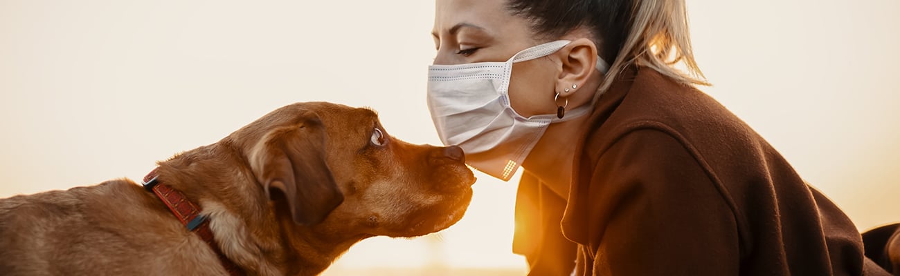 Pet Care in a Pandemic