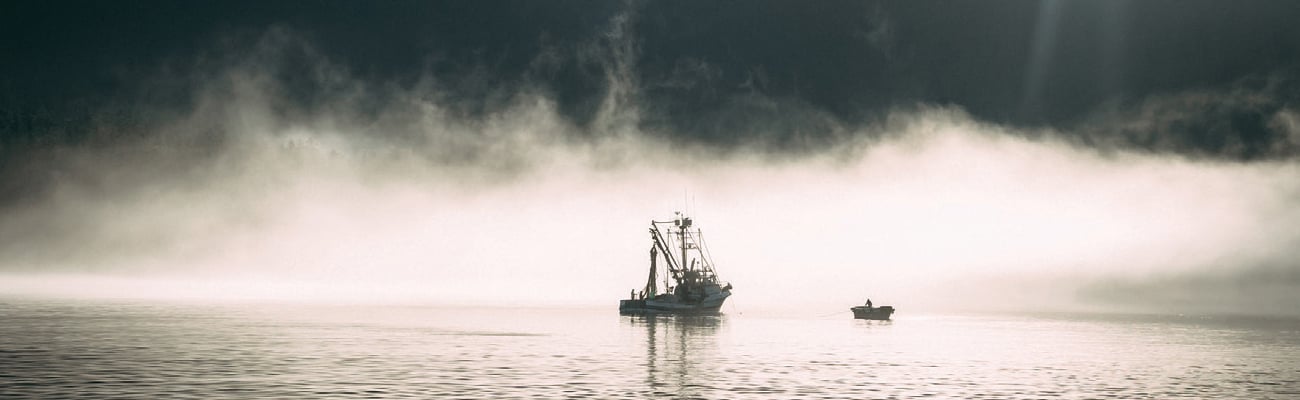 Alaska Seafood