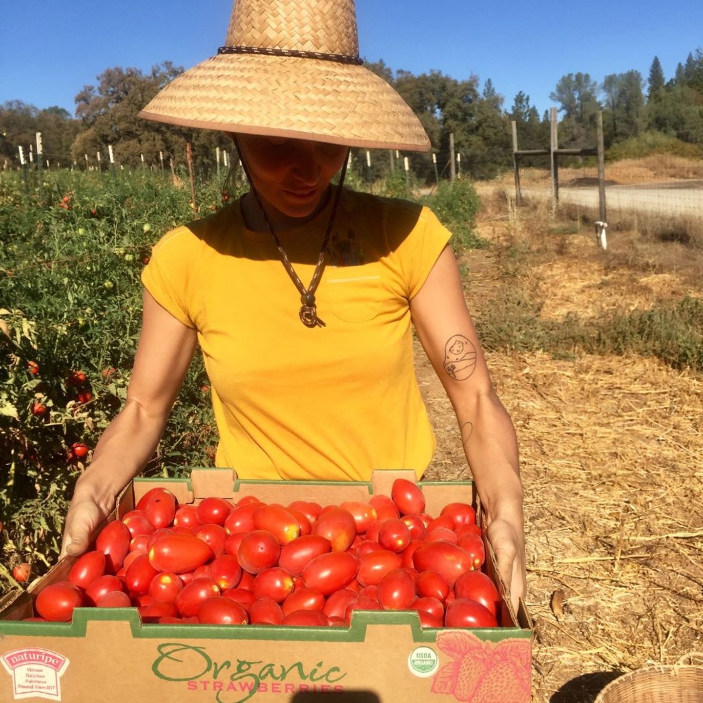 a person sitting at a fruit stand