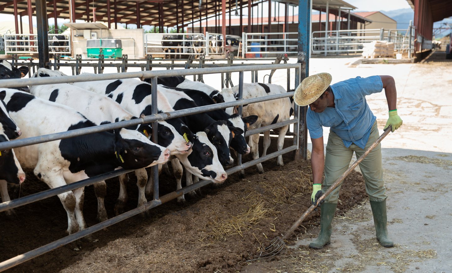 Dairy Worker