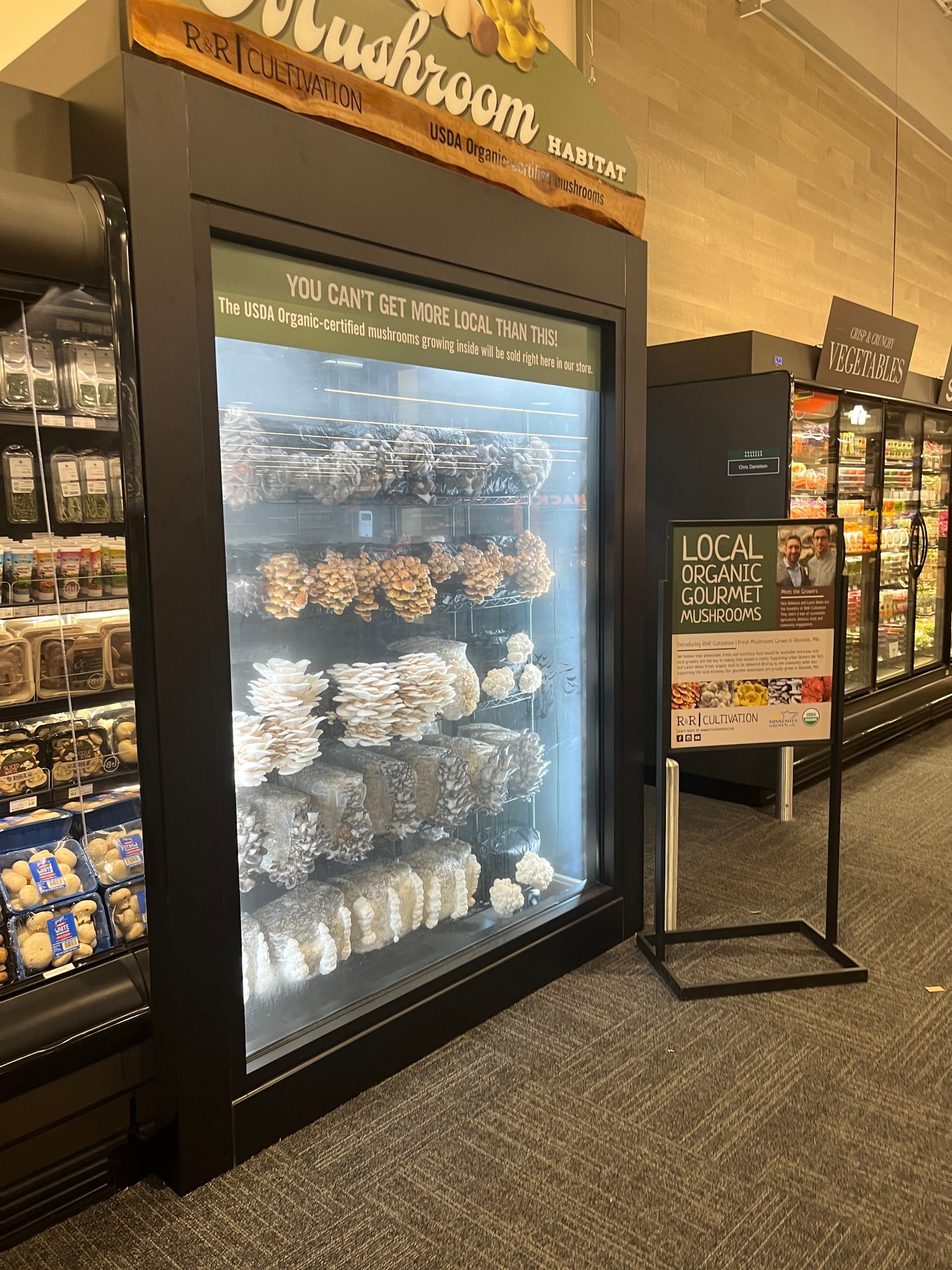 Lunds & Byerlys mushroom habitat