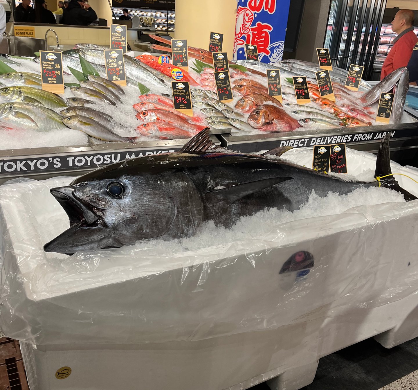 Wegmans Fish