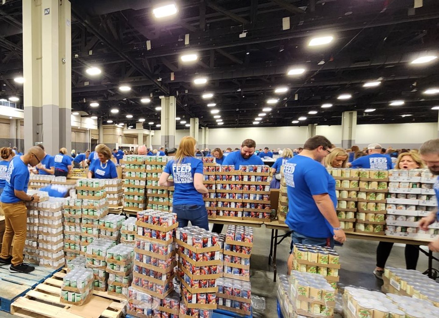 Food Lion Feeds