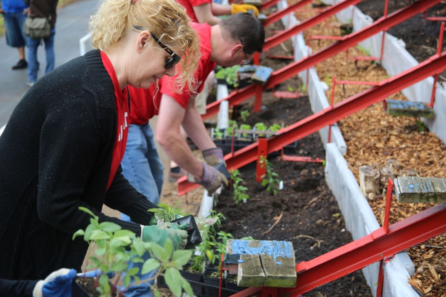 Giant Co. Food Security