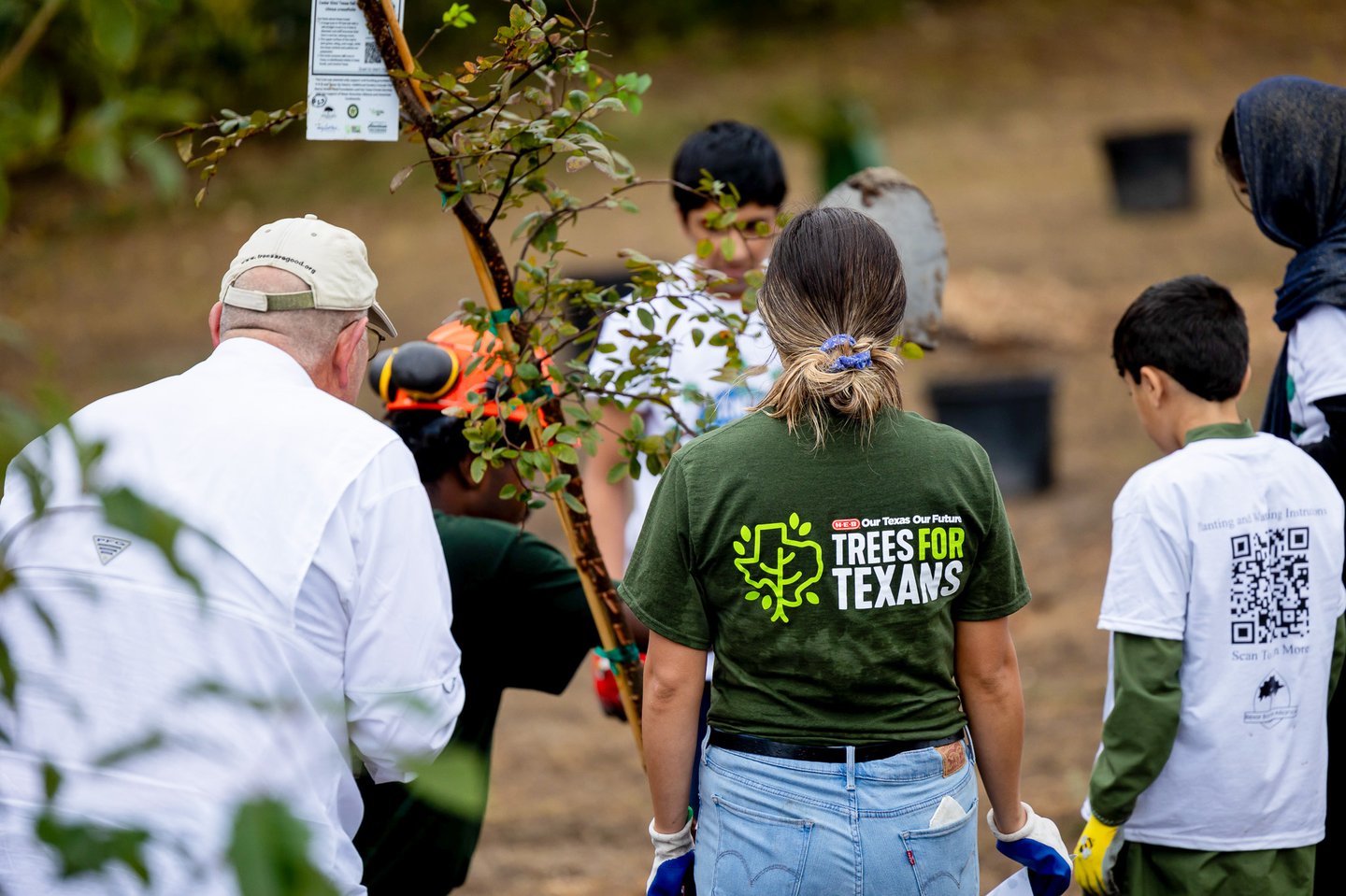 H-E-B Trees for Texans