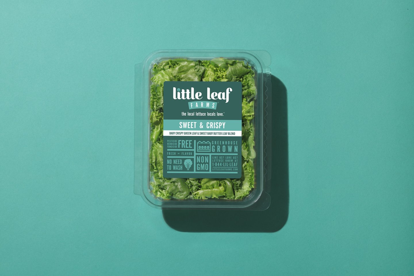 Little Leaf Farms Sweet & Crispy Blend Main Image