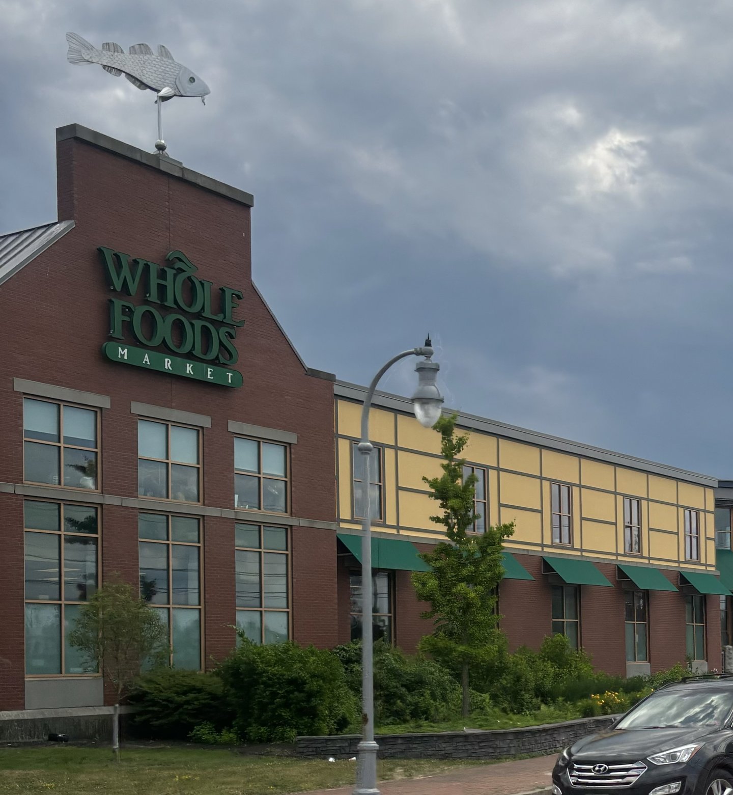 Whole Foods, Maine