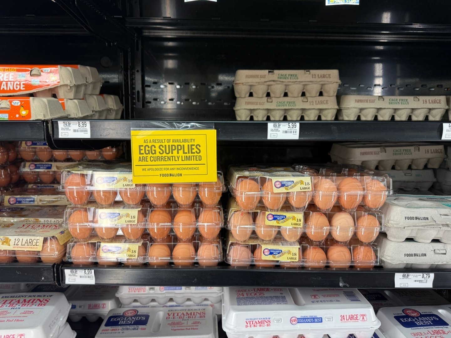 Eggs on Sale Main Image