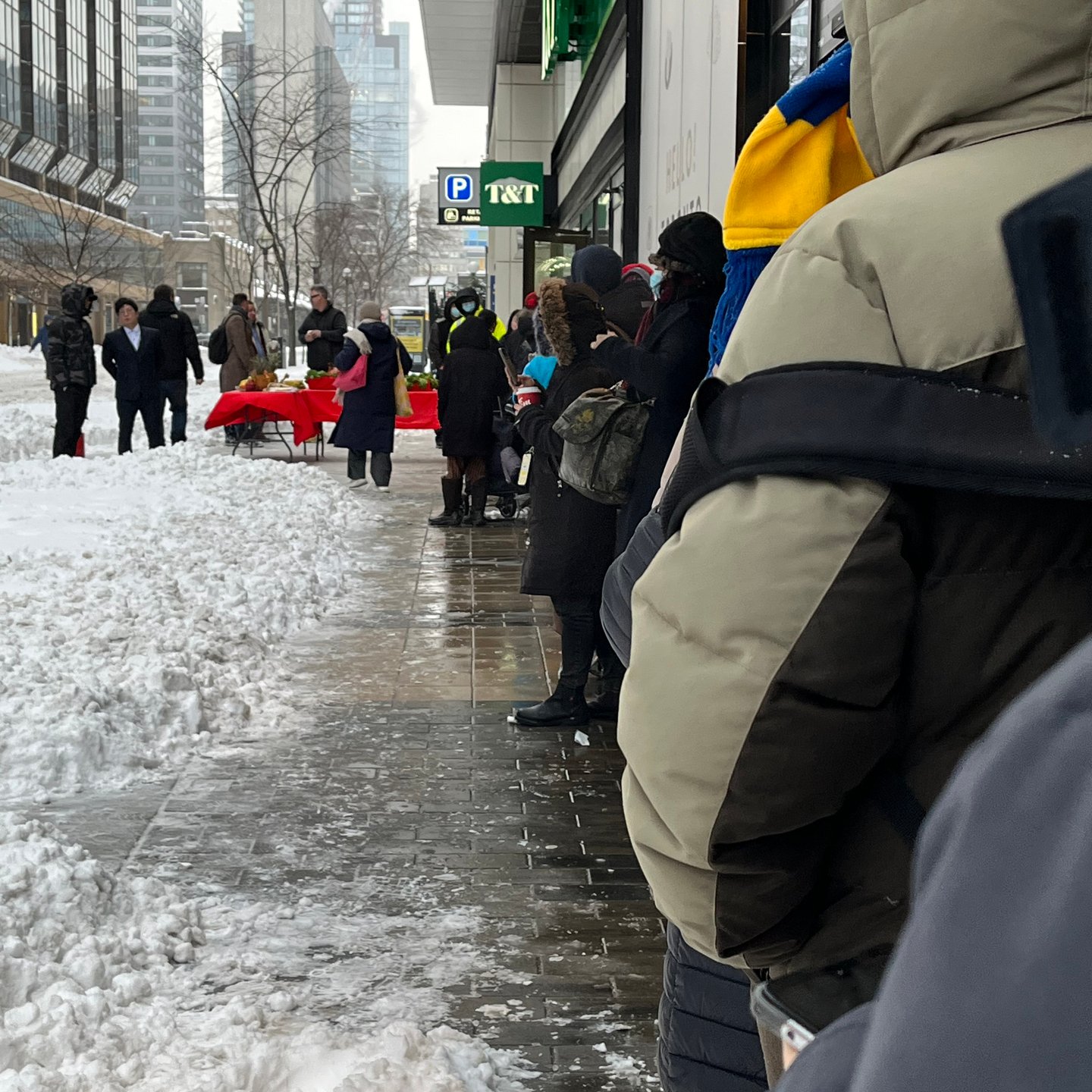 Line outside T&T Downtown Toronto Before Opening Main Image