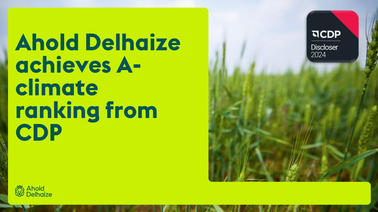 ahold delhaize