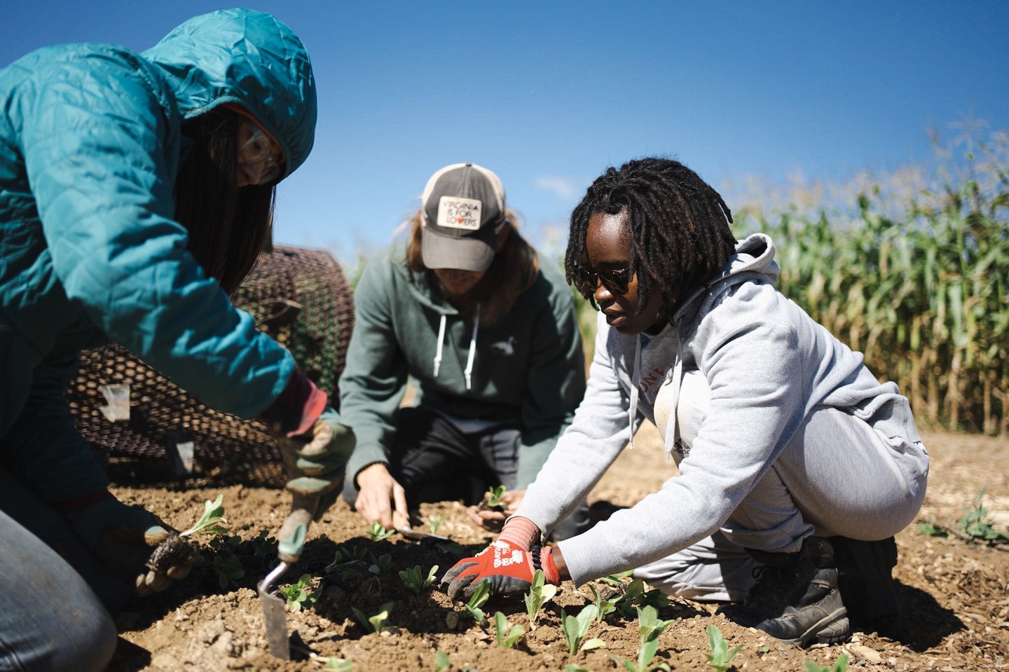 Natural Grocers Students in Field Main Image