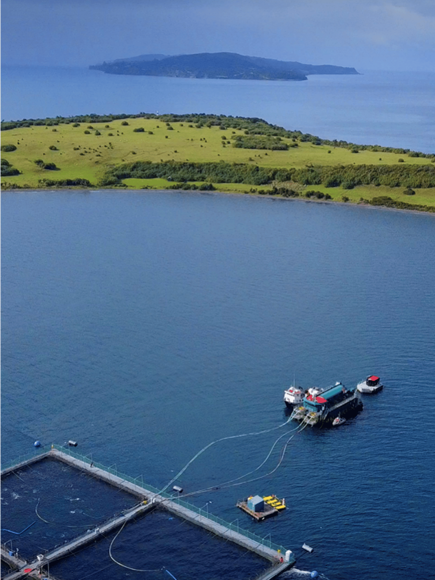 Chilean salmon farmers