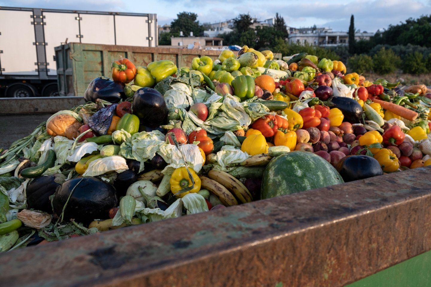 Food Waste Main Image