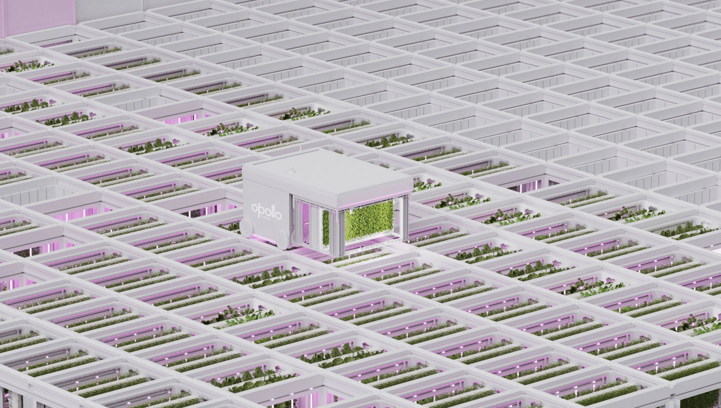 Opollo Farm Grid Main Image