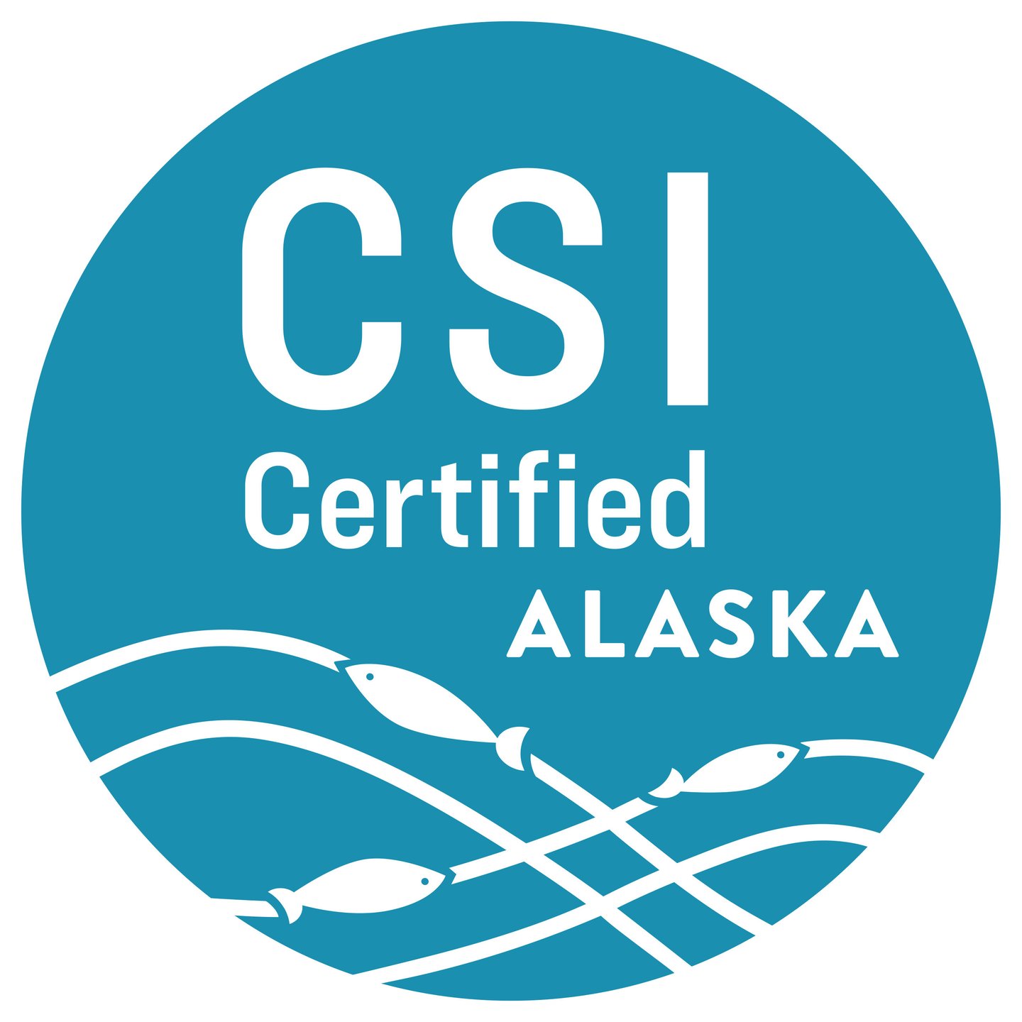 The CSI logo