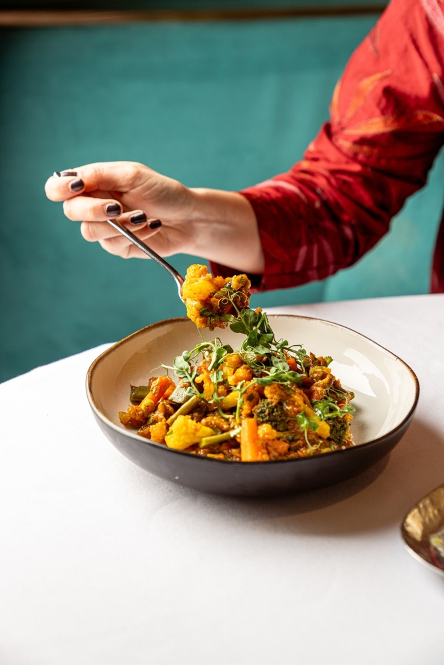Indian Cuisine Main Image