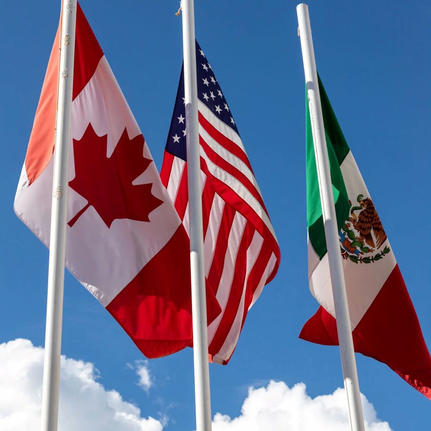 IAFP trade wars