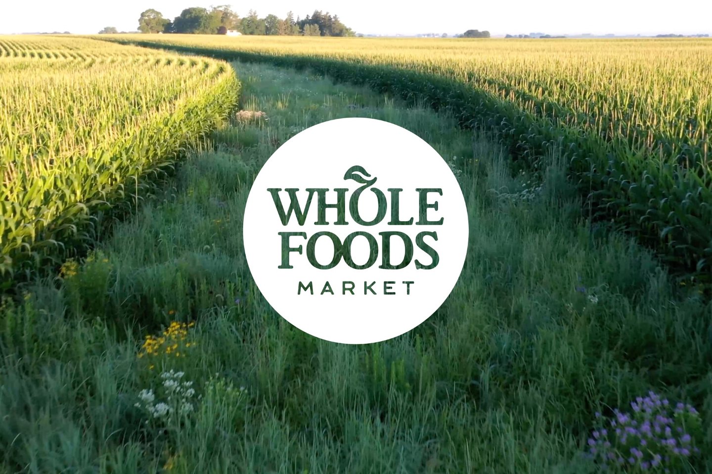 Whole Foods Market climate