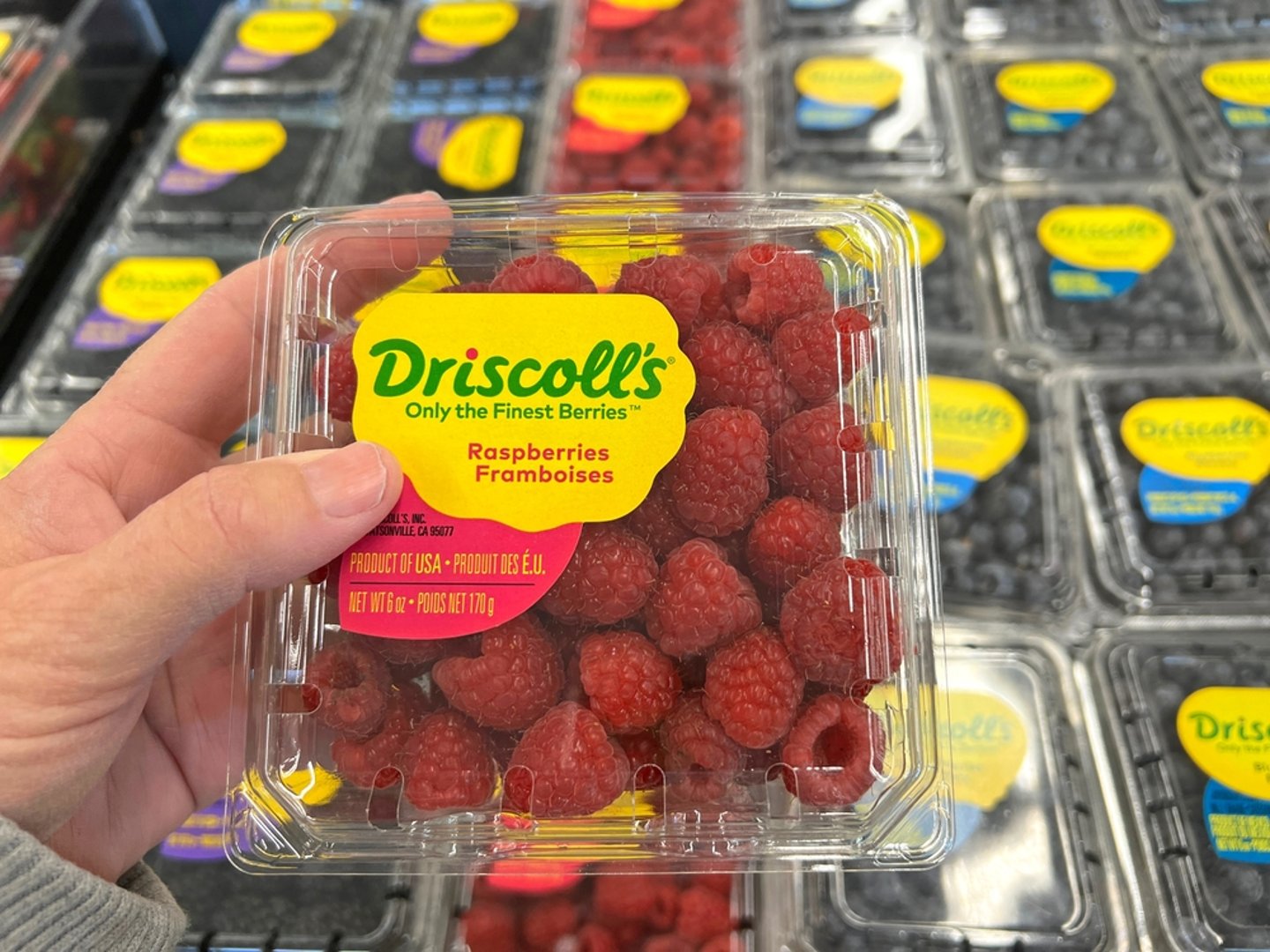 Driscoll's berries