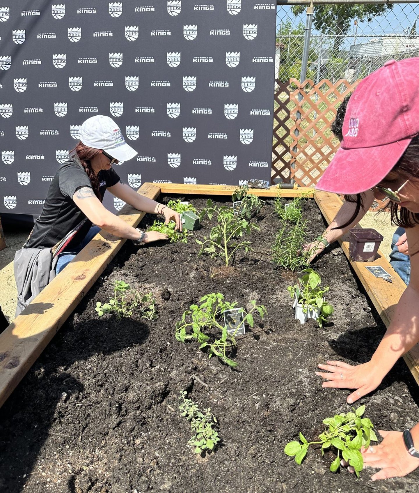 Raley's Root Garden