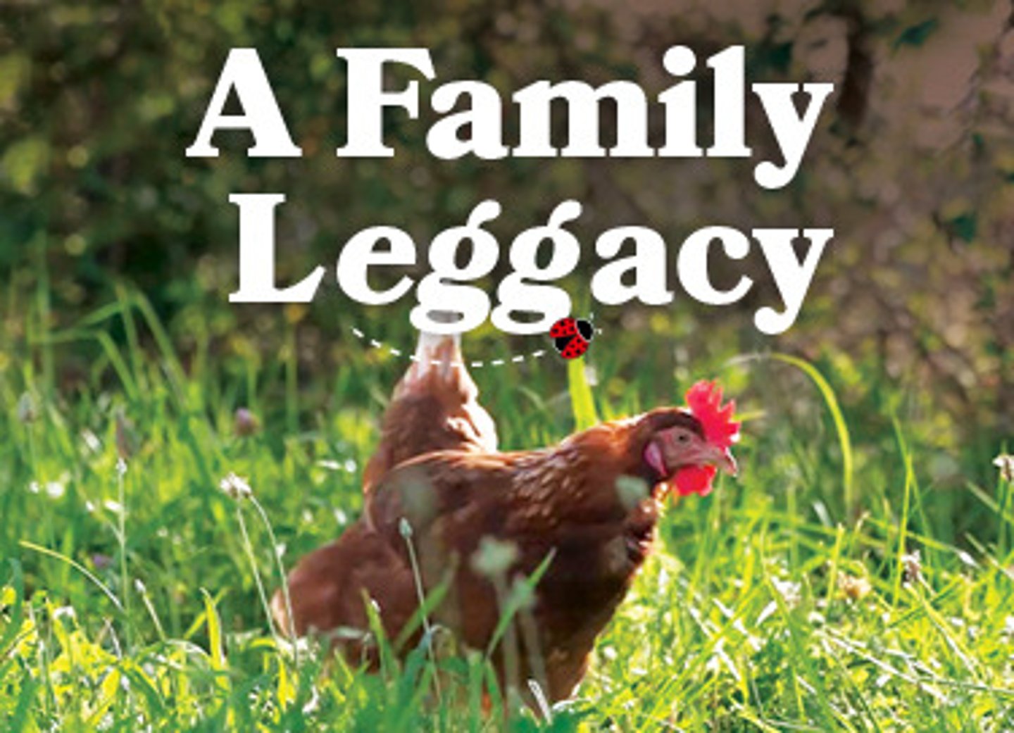 A Family Leggacy, Natural Grocers