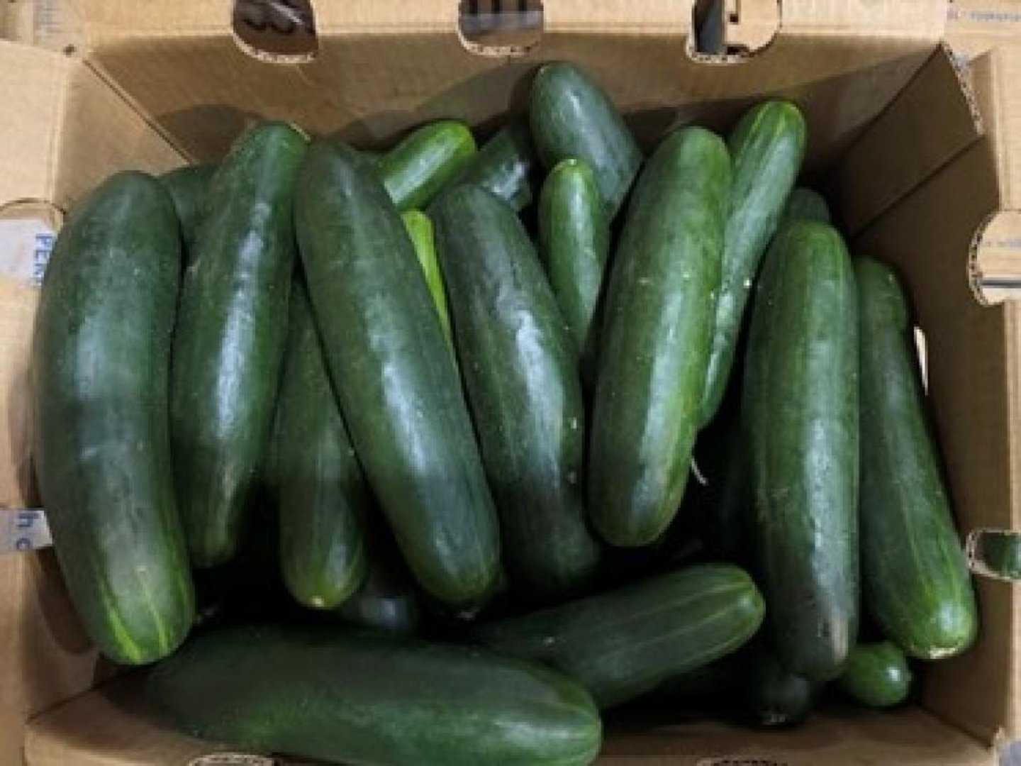 Recalled cucumbers